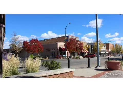 600 Locust St, Windsor, CO 80550 photo 37