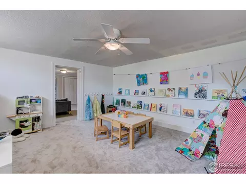 600 Locust St, Windsor, CO 80550 photo 29