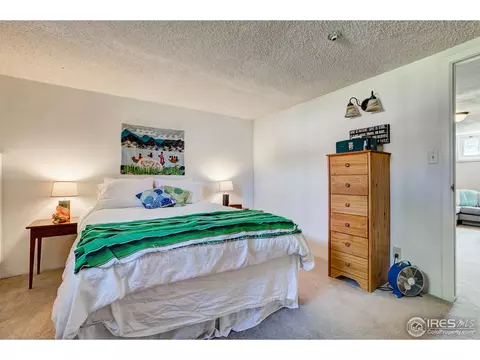 600 Locust St, Windsor, CO 80550 photo 33