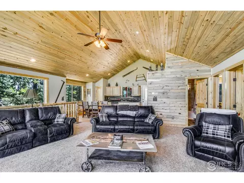 1327 Warpath Rd, Como, CO 80432 photo 14