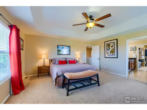 1647 Merton Ct, Windsor, CO 80550 photo 21