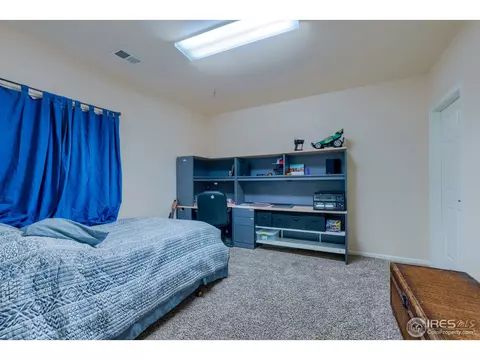 1647 Merton Ct, Windsor, CO 80550 photo 35