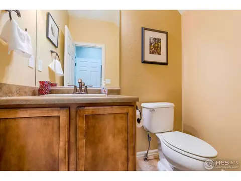 1647 Merton Ct, Windsor, CO 80550 photo 16