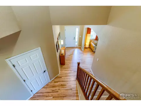 1647 Merton Ct, Windsor, CO 80550 photo 4