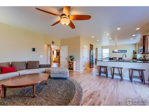 1647 Merton Ct, Windsor, CO 80550 photo 13