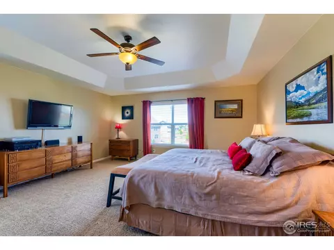 1647 Merton Ct, Windsor, CO 80550 photo 20