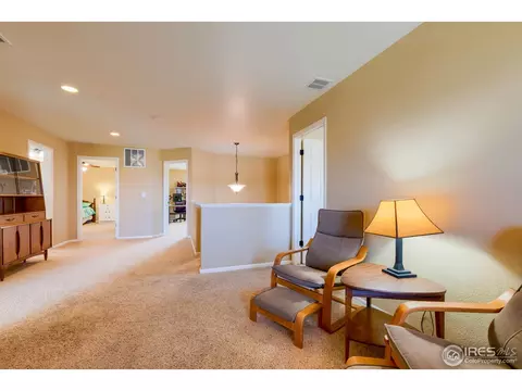 1647 Merton Ct, Windsor, CO 80550 photo 17