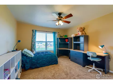 1647 Merton Ct, Windsor, CO 80550 photo 26
