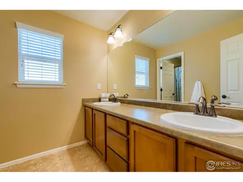 1647 Merton Ct, Windsor, CO 80550 photo 29