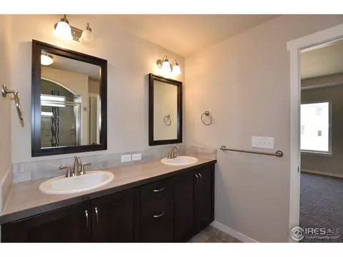 7113 Silver Ct, Timnath, CO 80547 photo 29
