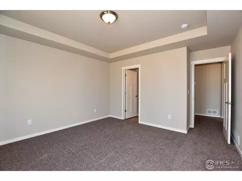 7113 Silver Ct, Timnath, CO 80547 photo 21