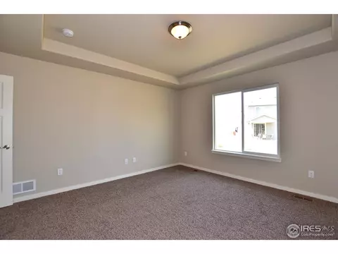 7113 Silver Ct, Timnath, CO 80547 photo 23