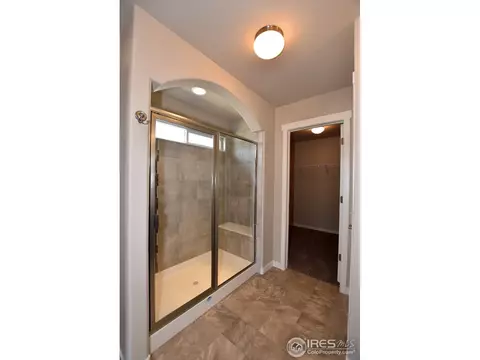 7113 Silver Ct, Timnath, CO 80547 photo 22