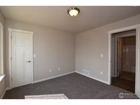 7113 Silver Ct, Timnath, CO 80547 photo 37