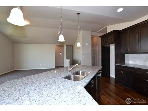 7113 Silver Ct, Timnath, CO 80547 photo 8