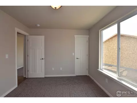 7113 Silver Ct, Timnath, CO 80547 photo 34