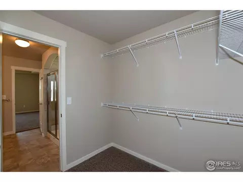 7113 Silver Ct, Timnath, CO 80547 photo 24