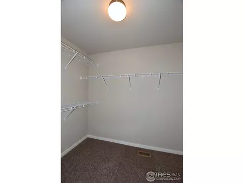 7113 Silver Ct, Timnath, CO 80547 photo 27