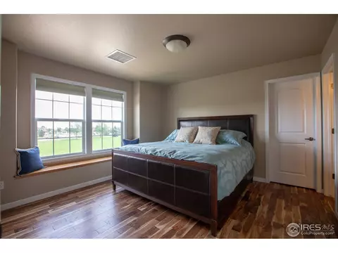 6513 Aberdour Cir, Windsor, CO 80550 photo 17