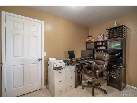 35 Wyandot Way, Como, CO 80432 photo 22