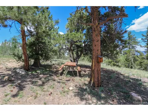 35 Wyandot Way, Como, CO 80432 photo 36