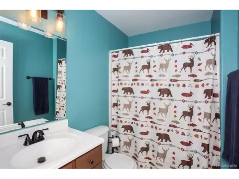 35 Wyandot Way, Como, CO 80432 photo 20