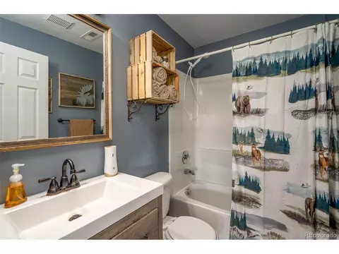 35 Wyandot Way, Como, CO 80432 photo 19
