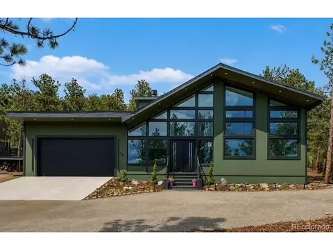 36 Navajo Trl, Nederland, CO 80466