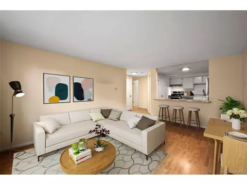 801 N Pennsylvania St #303, Denver, CO 80203