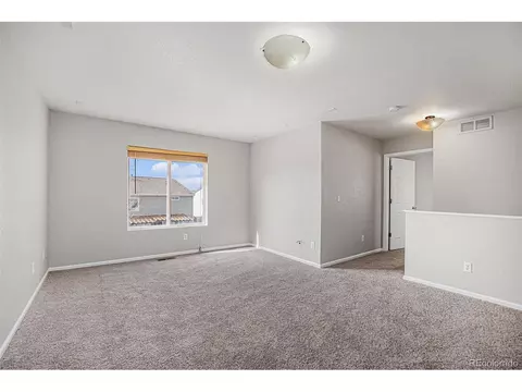21602 E 50th Pl, Denver, CO 80249 photo 10