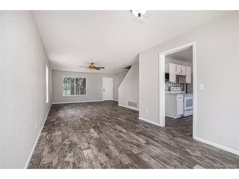21602 E 50th Pl, Denver, CO 80249 photo 6