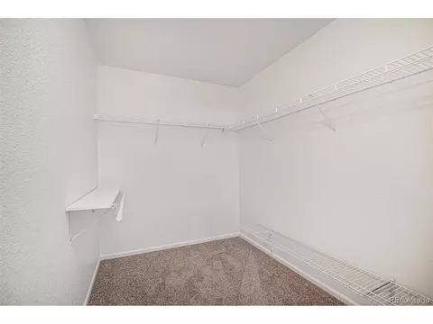 21602 E 50th Pl, Denver, CO 80249 photo 17