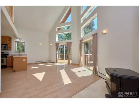 30 Pyrite Rd, Black Hawk, CO 80422 photo 6