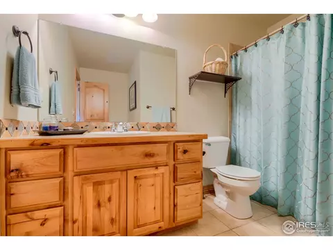 145 Kitty Hawk Dr, Windsor, CO 80550 photo 20