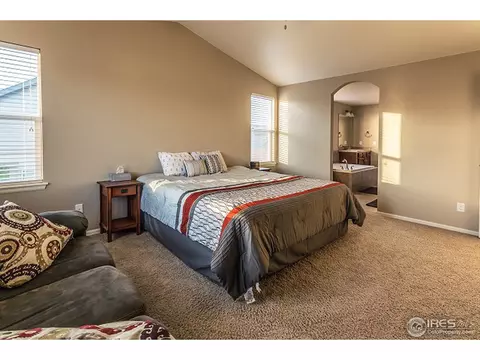 5633 Edgevale St, Timnath, CO 80547 photo 25
