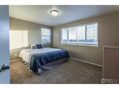 5633 Edgevale St, Timnath, CO 80547 photo 29