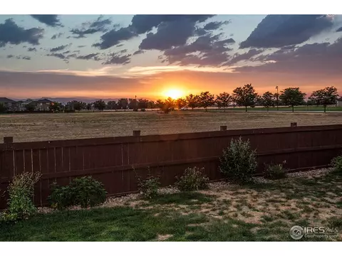 5633 Edgevale St, Timnath, CO 80547 photo 35