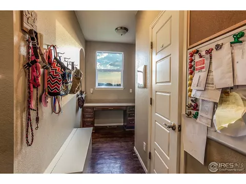 5633 Edgevale St, Timnath, CO 80547 photo 18