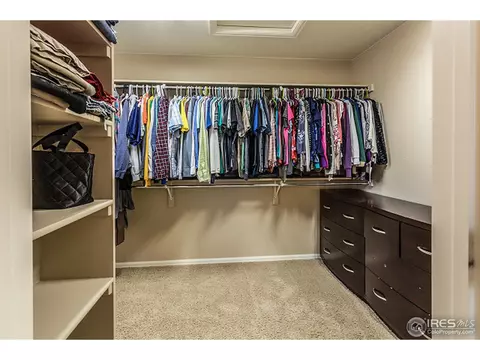 5633 Edgevale St, Timnath, CO 80547 photo 28