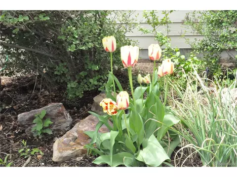 5977 Sparrow Ave, Firestone, CO 80504 photo 23