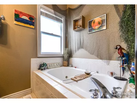 1318 Fairfield Ave, Windsor, CO 80550 photo 19