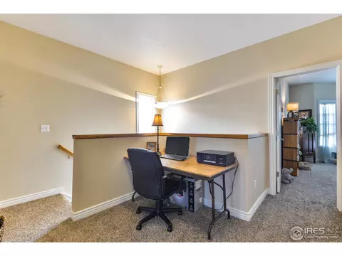 1318 Fairfield Ave, Windsor, CO 80550 photo 24