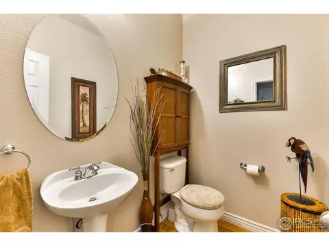 1318 Fairfield Ave, Windsor, CO 80550 photo 20