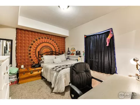 1318 Fairfield Ave, Windsor, CO 80550 photo 18