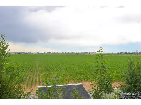 1318 Fairfield Ave, Windsor, CO 80550 photo 39