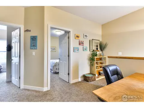 1318 Fairfield Ave, Windsor, CO 80550 photo 28