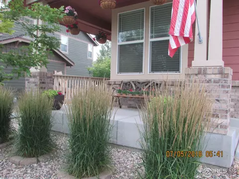 267 Bittern Dr, Johnstown, CO 80534 photo 4