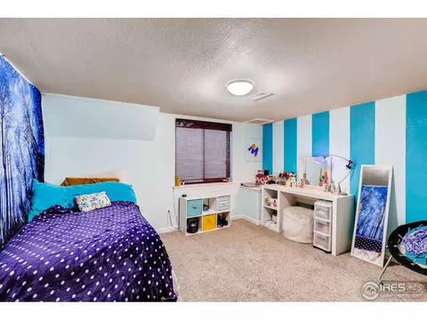10224 Dover St, Firestone, CO 80504 photo 24