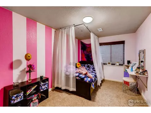 10224 Dover St, Firestone, CO 80504 photo 25