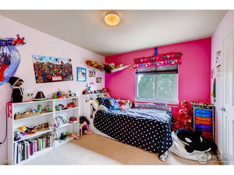 10224 Dover St, Firestone, CO 80504 photo 20